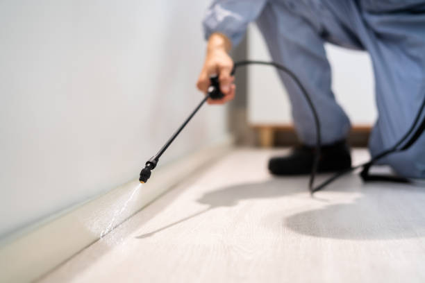Licensed Pest Control service in Trinity County County, TX - Nex Pest Control