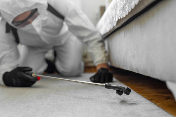 Professional Pest Control technician working in Trinity County County, TX